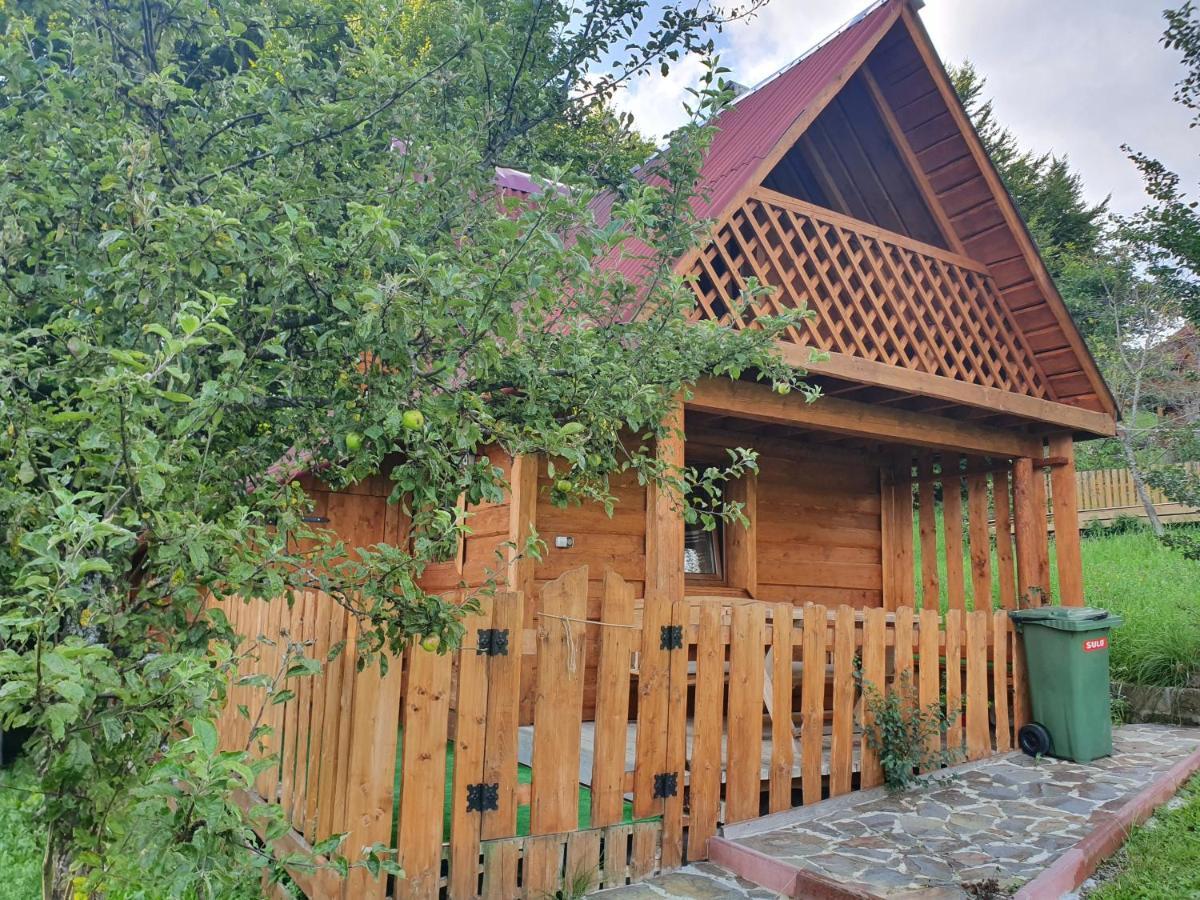 Трембіта Rakhiv Luaran gambar