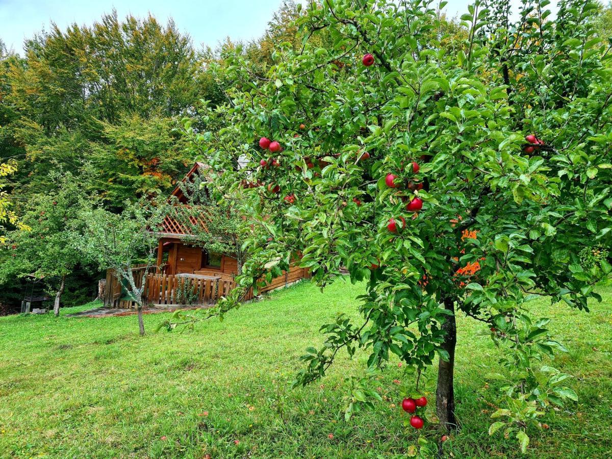 Трембіта Rakhiv Luaran gambar