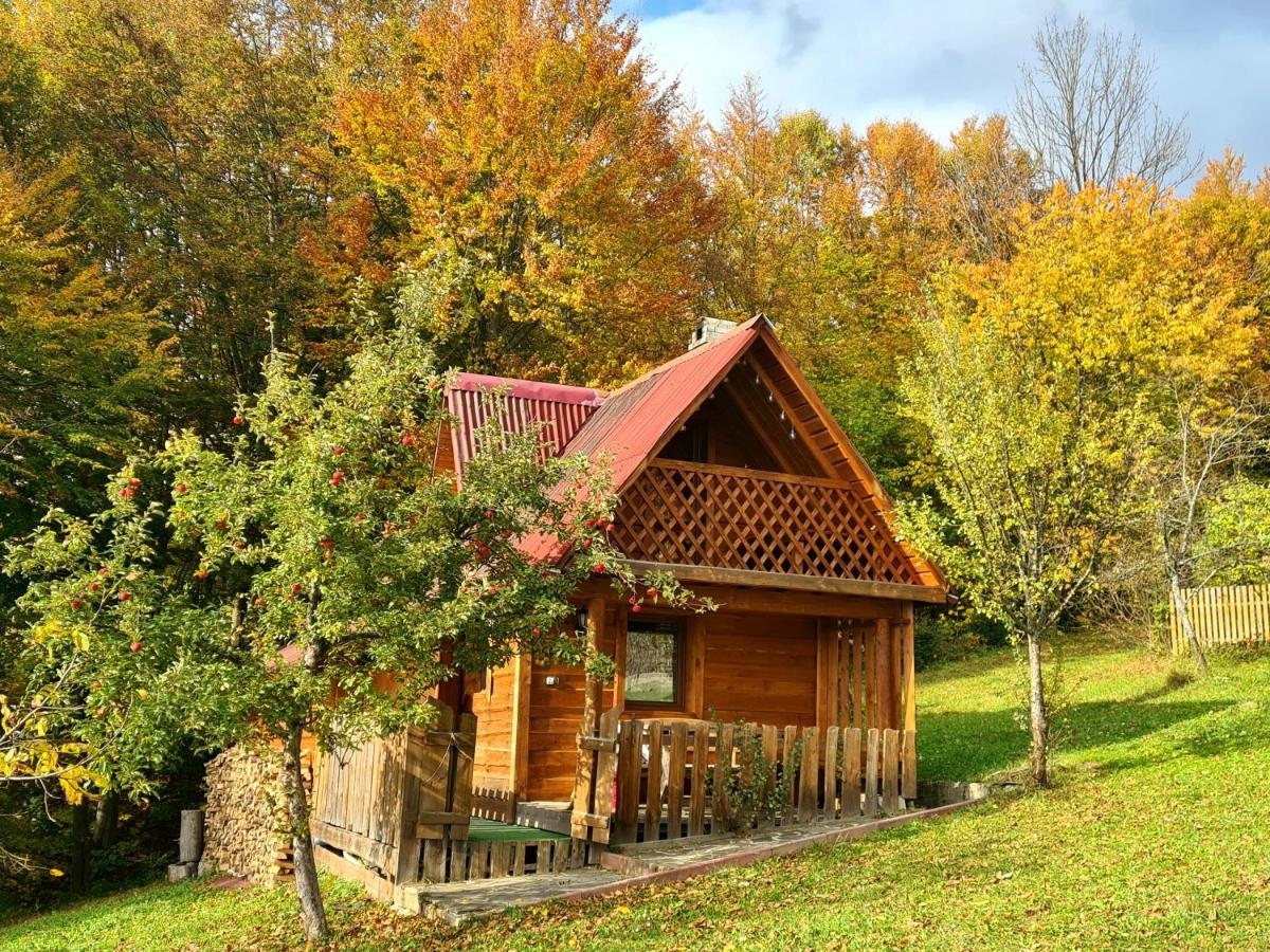 Трембіта Rakhiv Luaran gambar