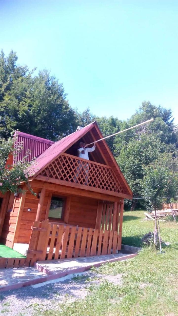 Трембіта Rakhiv Luaran gambar